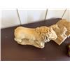 Image 3 : Qty 2 Lion Book Ends, Lion Sculpture & Guardian Lion Foo Dog on Base, Misc Sizes