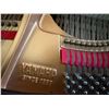 Image 19 : Yamaha GH1 Baby Grand Player Piano w/ Bench