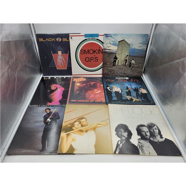 Lot of Vinyl Records w/ The Doors, Bob Seger, & More