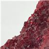 Image 3 : RED GEODE