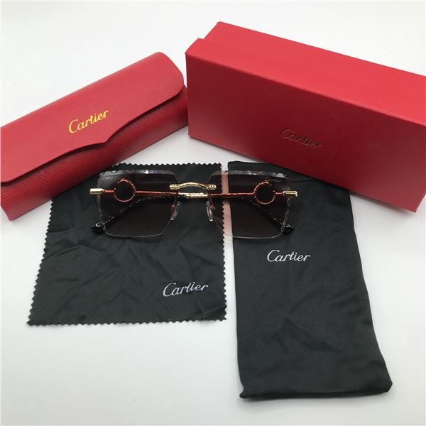 DESIGNER INSPIRED SUNGLASSES WITH ACCESSORIES