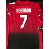 Image 1 : BIJON ROBINSON SIGNED ATLANTA FALCONS CUSTOM JERSEY - ACE COA
