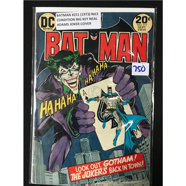 BATMAN #251 (1973) - DC COMICS