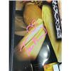 Image 2 : TARA REID SIGNED AND FRAMED JOSIE AND THE PUSSYCAT DOLLS PICTURE - JSA COA