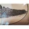 Image 3 : 8x10” Loon Scrimshaw Print, “Big Stone Lake” Print