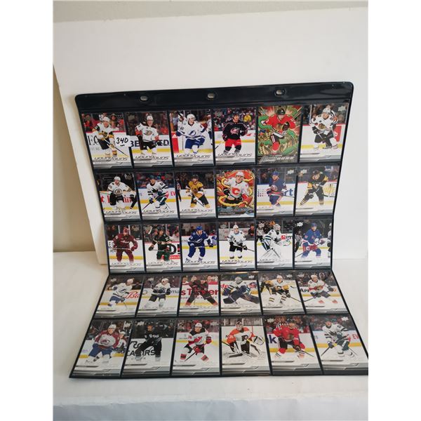 (30) 2024-25 Young Guns Hockey Cards