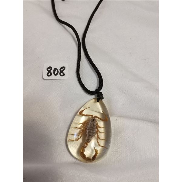 Real Scorpion Pendant