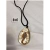Image 1 : Real Scorpion Pendant