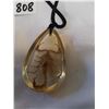 Image 4 : Real Scorpion Pendant