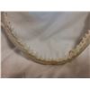 Image 2 : Real Shark Jaw, Very Sharp Teeth