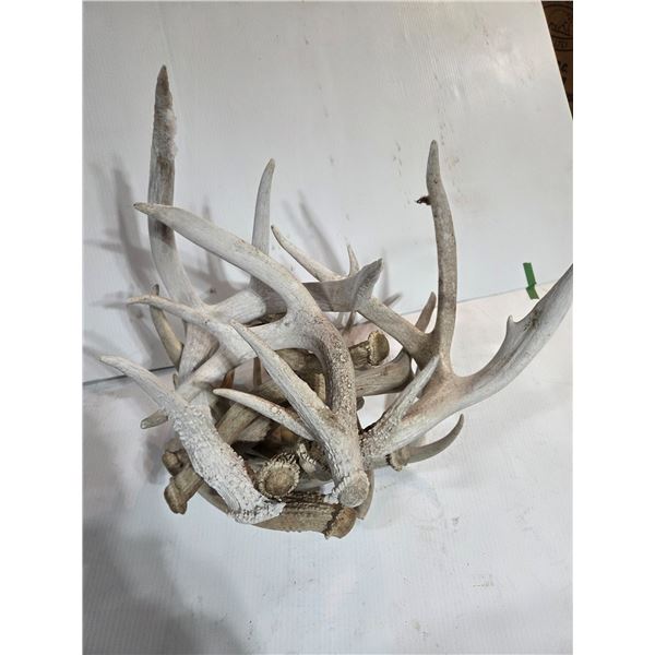 Box of Deer Sheds (11)