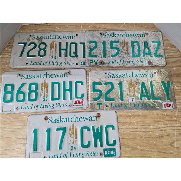 (5) Sask license plates