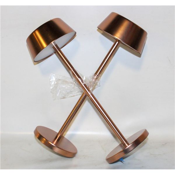2PK LED TABLE LAMP