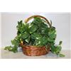 Image 1 : NEARLY NATURAL POTHOS ARTIFICIAL PLANT IN