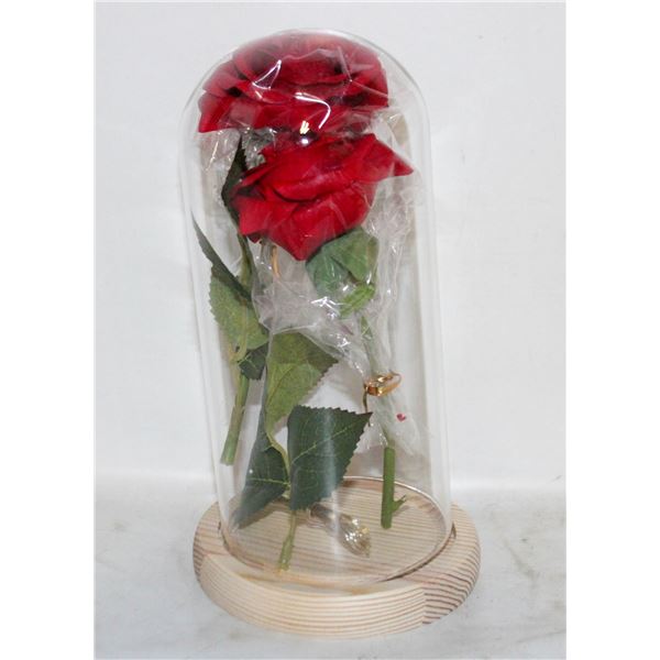 NEW ENCASED GLASS DOME WOODEN BASE