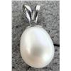 Image 1 : 14K(0.68G) FRESHWATER PEARL PENDANT