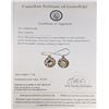 Image 2 : 10K 1.19G MOISSANITE EARRINGS