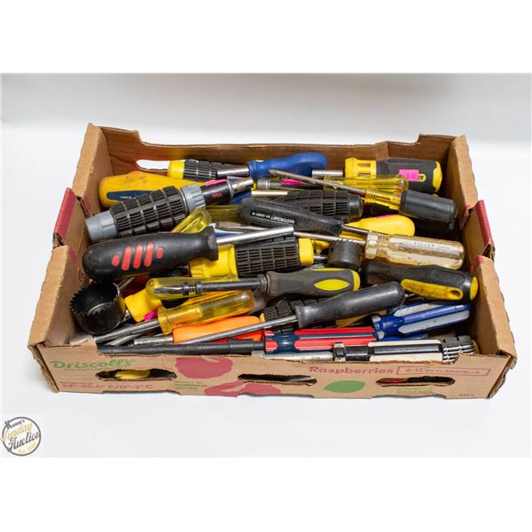 TRAY OF 50+ VARIOUS SCREW DRIVERS