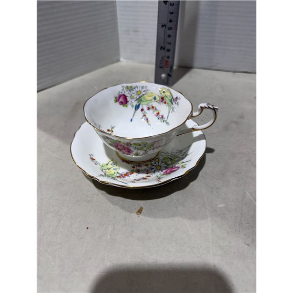 Paragon parakeet cup and saucer