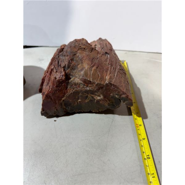 Petrified wood
