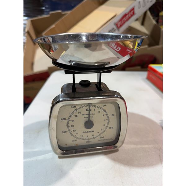 Scale SALTER