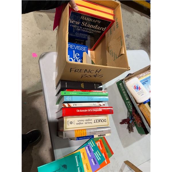 French English dictionaries and other language books