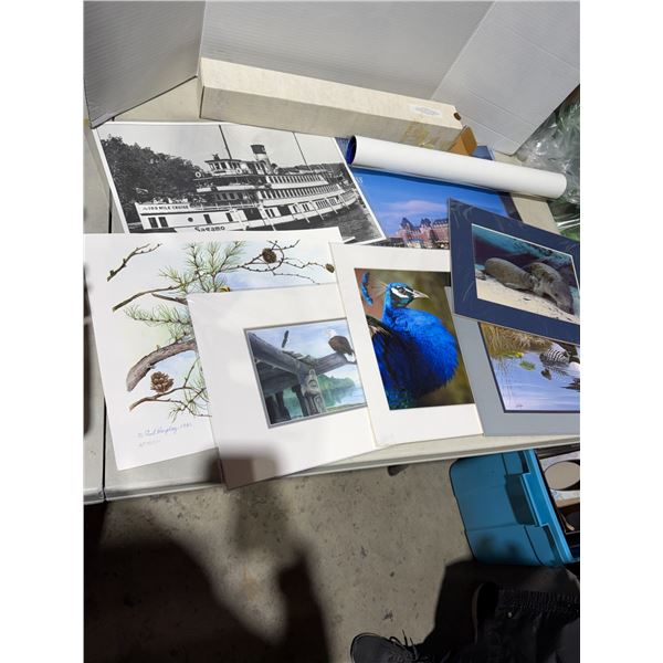 Pictures