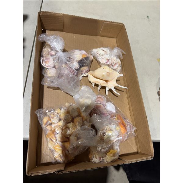 Shells