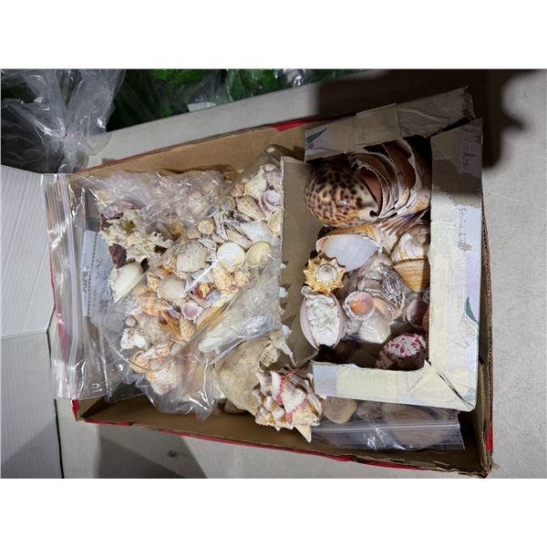 Shells