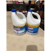 Image 1 : Clorox bleach