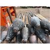 Image 18 : Qty Approx. 14 Lamaku TK-1 Gas Light Tiki Torches 88"L