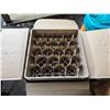 Image 7 : Qty 6 Vollrath Commercial Dishwasher Glassware Racks 19" x 19" x 4.5"H New in Box
