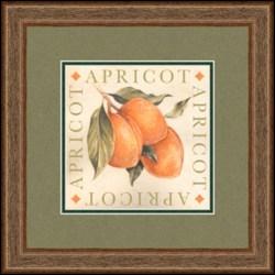 "Apricot" Michael Alexande