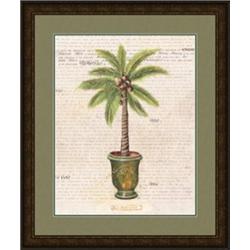 "Palm with Pot d Anduze" Samantha Archetti