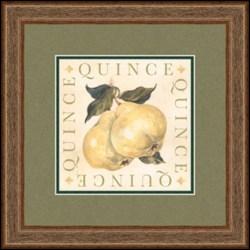 "Quince" Michael Alexander