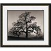 Image 1 : "Oak Tree - Sunset City, California" Ansel Adams