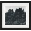 Image 1 : "Pine Ridge, 1962" Ansel Adams