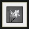 Image 1 : "Iris I" Artin