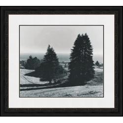 "Pinetrees, Seashore" Ansel Adams