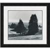 Image 1 : "Pinetrees, Seashore" Ansel Adams