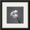 Image 1 : "Iris II"  Artin