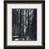 Image 1 : "Redwoods, Founders Grove" Ansel Adams