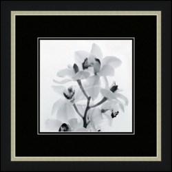 "Orchid Spray I" Artin