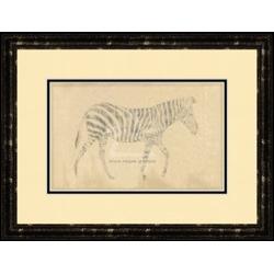 "African Zebra" Banafshe