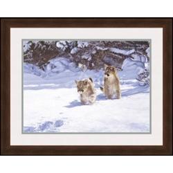 "Cautious Approach" Banovich