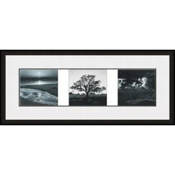 "Trilogy" Ansel Adams