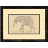 Image 1 : "Indian Elephant" Banafshe