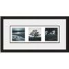 Image 1 : "Trilogy I I I" Ansel Adams