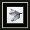Image 1 : "Parrot Tulip II" Artin