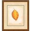 Image 1 : "Beech Leaf" Meg Page